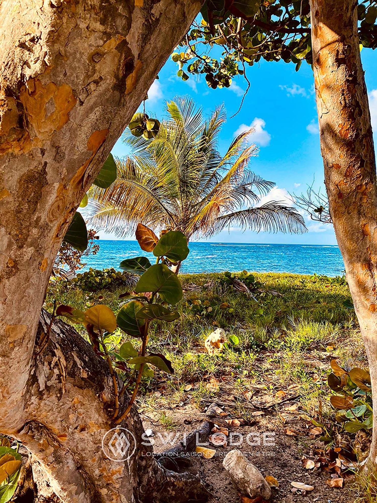 Swilodge Vue Sur Mer ! Petit Dejeuner Et Location De Voiture Possible 勒穆莱 外观 照片
